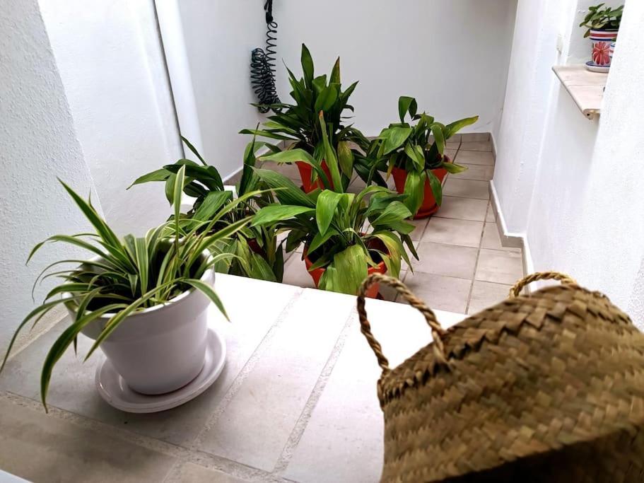 Apartamento Alberzana - Barrio Albaicin - Granada Luaran gambar